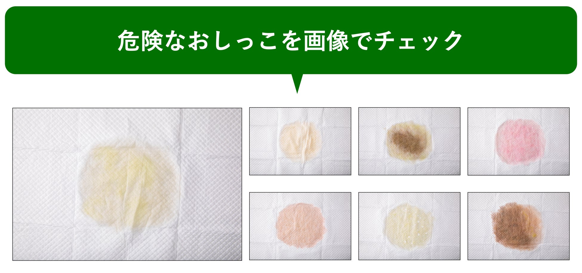愛犬のうんち、おしっこの状態を画像で調べ危険を察知できる「うちの子のうんちログ」。色や回数、下痢などの造形画像で愛犬のうんち、おしっこと比較できるサービスのサブ画像4