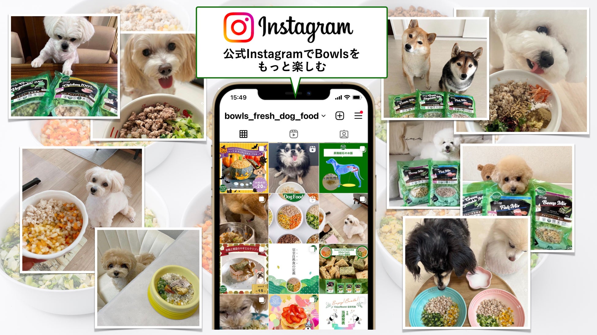 愛犬のうんち、おしっこの状態を画像で調べ危険を察知できる「うちの子のうんちログ」。色や回数、下痢などの造形画像で愛犬のうんち、おしっこと比較できるサービスのサブ画像6