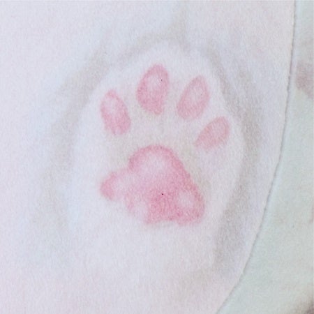 もふもふかわいい“あの犬”といっしょに暮らせる「まんまるころころ アラスカンマラミュートの子犬 実物大クッション」がフェリシモ「YOU+MORE!」から誕生のサブ画像7