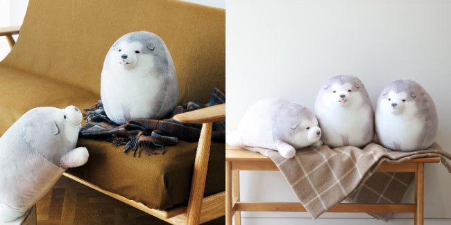 もふもふかわいい“あの犬”といっしょに暮らせる「まんまるころころ アラスカンマラミュートの子犬 実物大クッション」がフェリシモ「YOU+MORE!」から誕生のサブ画像9