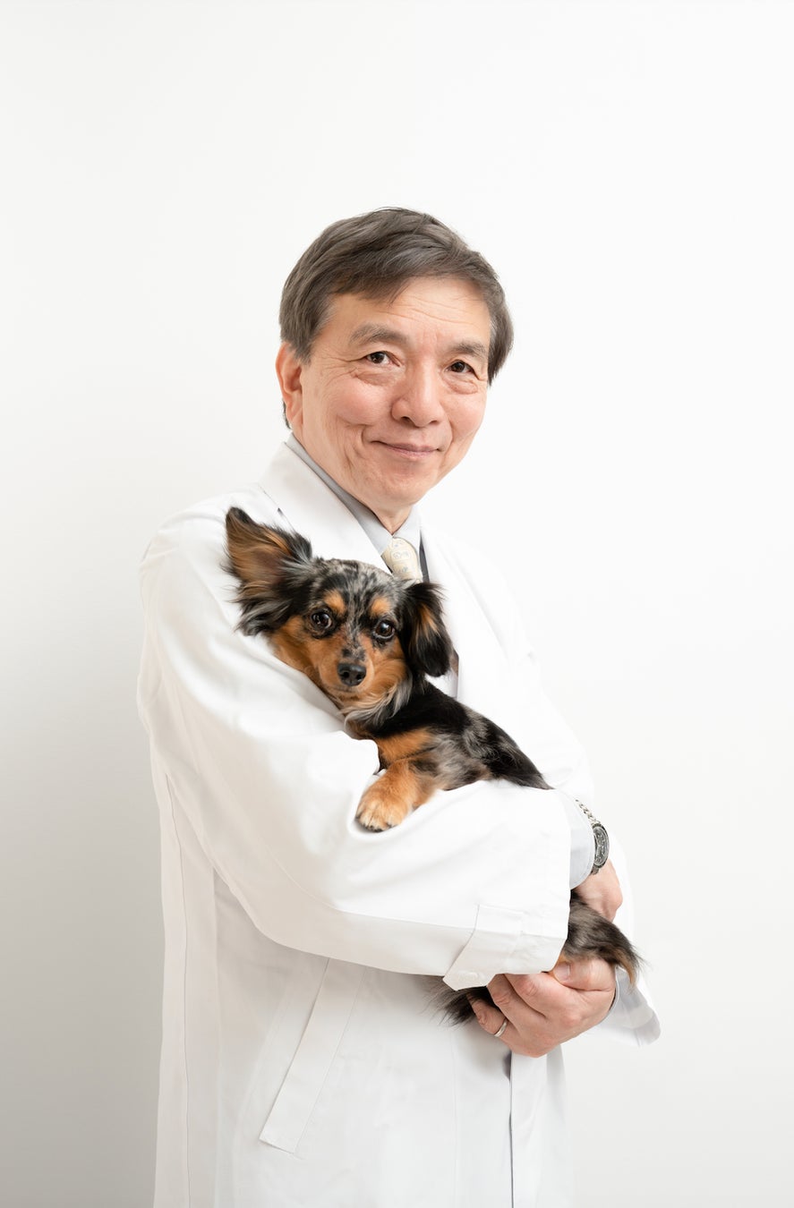 もう愛犬に