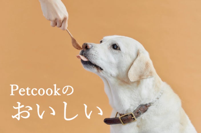 もう愛犬に