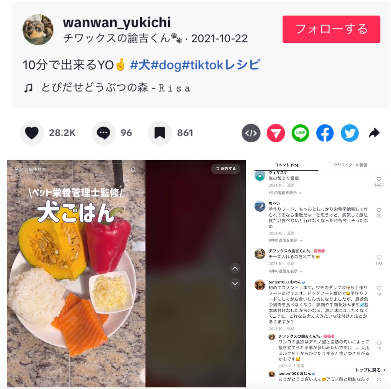 もう愛犬に