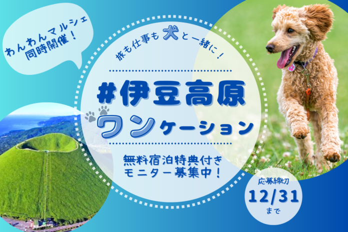 旅も仕事も学びも、犬と一緒に！「伊豆高原ワンケーション」無料宿泊特典付き！モニター募集開始のメイン画像