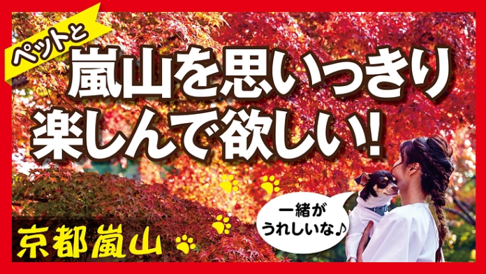 京都・嵐山発！ワンちゃんと泊まれるホテルからペットに優しい地域を作りたい！のメイン画像