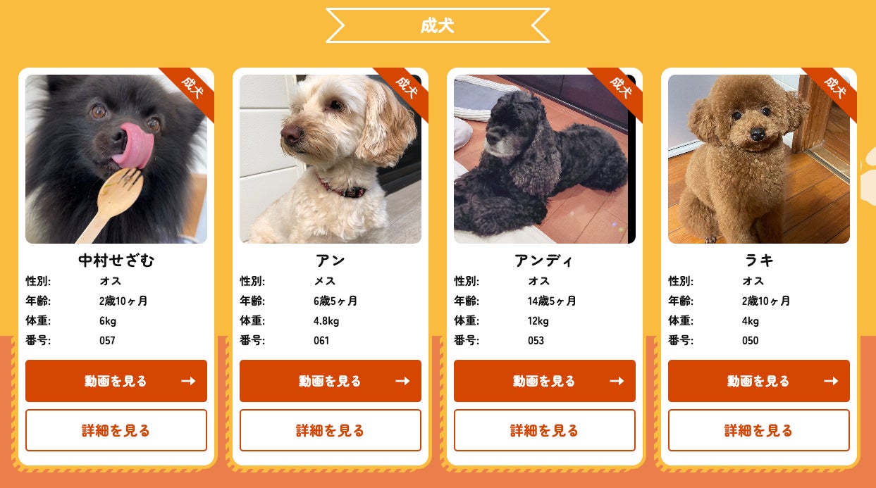 投票＆視聴で応援！「みんなのワンちゃんグランプリ」が11月1日からスタートのサブ画像3