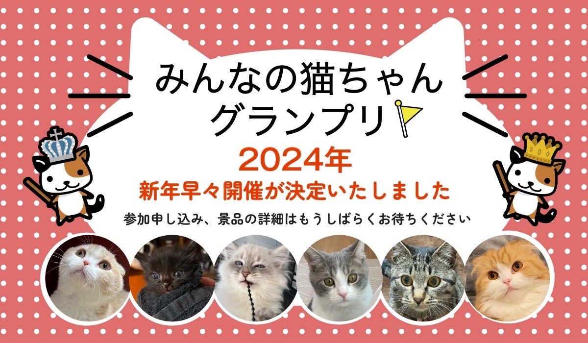 投票＆視聴で応援！「みんなのワンちゃんグランプリ」が11月1日からスタートのサブ画像4