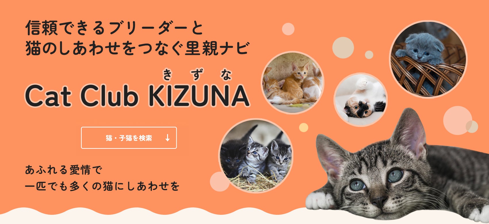 投票＆視聴で応援！「みんなのワンちゃんグランプリ」が11月1日からスタートのサブ画像5