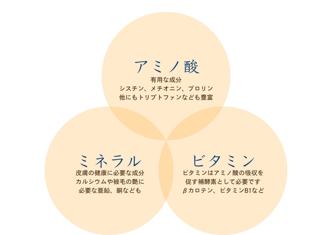 海藻と納豆のチカラで大切なペットの健康な皮膚と毛並みの維持にのサブ画像1