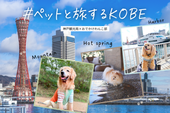 愛犬とのおでかけ情報メディア「おでかけわんこ部」と連携しペットと楽しめる神戸市内の飲食店や宿泊施設、おすすめモデルコースをご紹介！「♯ペットと旅するKOBE」特設ページが本格始動のメイン画像