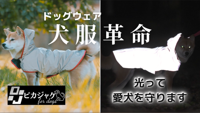夜道の危険からピカッと光って愛犬を守る、飼い主も一緒に守る！犬用反射ジャケット【ピカジャケ for dags】 が11月10日よりクラウドファンディング CAMPFIRE に登場！のメイン画像