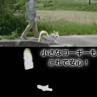 夜道の危険からピカッと光って愛犬を守る、飼い主も一緒に守る！犬用反射ジャケット【ピカジャケ for dags】 が11月10日よりクラウドファンディング CAMPFIRE に登場！のサブ画像10