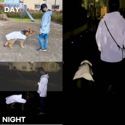 夜道の危険からピカッと光って愛犬を守る、飼い主も一緒に守る！犬用反射ジャケット【ピカジャケ for dags】 が11月10日よりクラウドファンディング CAMPFIRE に登場！のサブ画像11