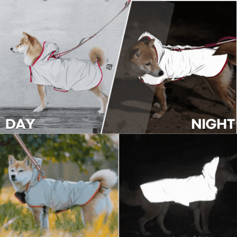 夜道の危険からピカッと光って愛犬を守る、飼い主も一緒に守る！犬用反射ジャケット【ピカジャケ for dags】 が11月10日よりクラウドファンディング CAMPFIRE に登場！のサブ画像12
