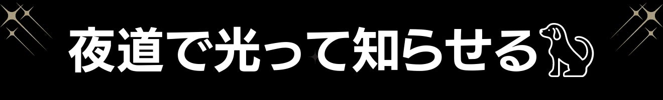 夜道の危険からピカッと光って愛犬を守る、飼い主も一緒に守る！犬用反射ジャケット【ピカジャケ for dags】 が11月10日よりクラウドファンディング CAMPFIRE に登場！のサブ画像2