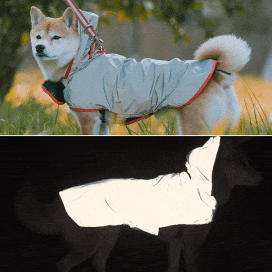 夜道の危険からピカッと光って愛犬を守る、飼い主も一緒に守る！犬用反射ジャケット【ピカジャケ for dags】 が11月10日よりクラウドファンディング CAMPFIRE に登場！のサブ画像7