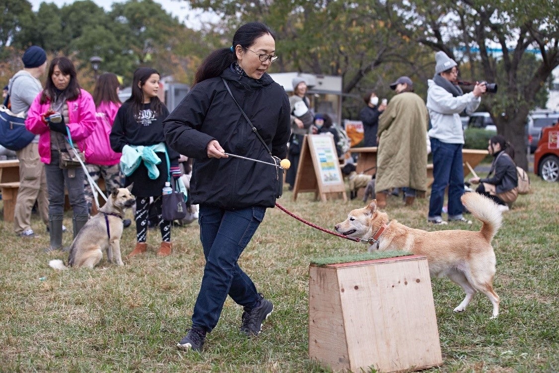 【ペットゴー協賛】動物保護団体の卒業犬と迎え主の里帰りイベント「HOMECOMING PARK」を11/12（日）に開催しましたのサブ画像10_ゲームを楽しむ参加者たち。入賞した団体にはプレゼントが贈られました
