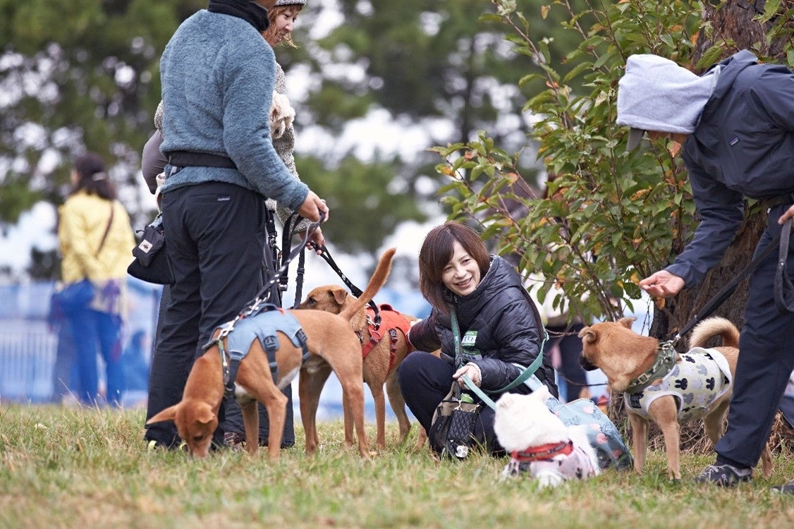 【ペットゴー協賛】動物保護団体の卒業犬と迎え主の里帰りイベント「HOMECOMING PARK」を11/12（日）に開催しましたのサブ画像11_卒業犬や迎え主同士の楽しい交流の場となりました