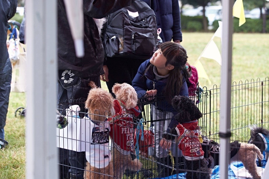 【ペットゴー協賛】動物保護団体の卒業犬と迎え主の里帰りイベント「HOMECOMING PARK」を11/12（日）に開催しましたのサブ画像8_新たな迎え主との出会いを待っています