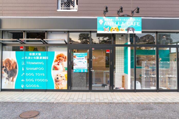 ハンデのある子にもふれあいの機会を。保護犬猫ふれあいカフェ『ANELLA CAFE佐倉店』11月18日（土）オープンのメイン画像