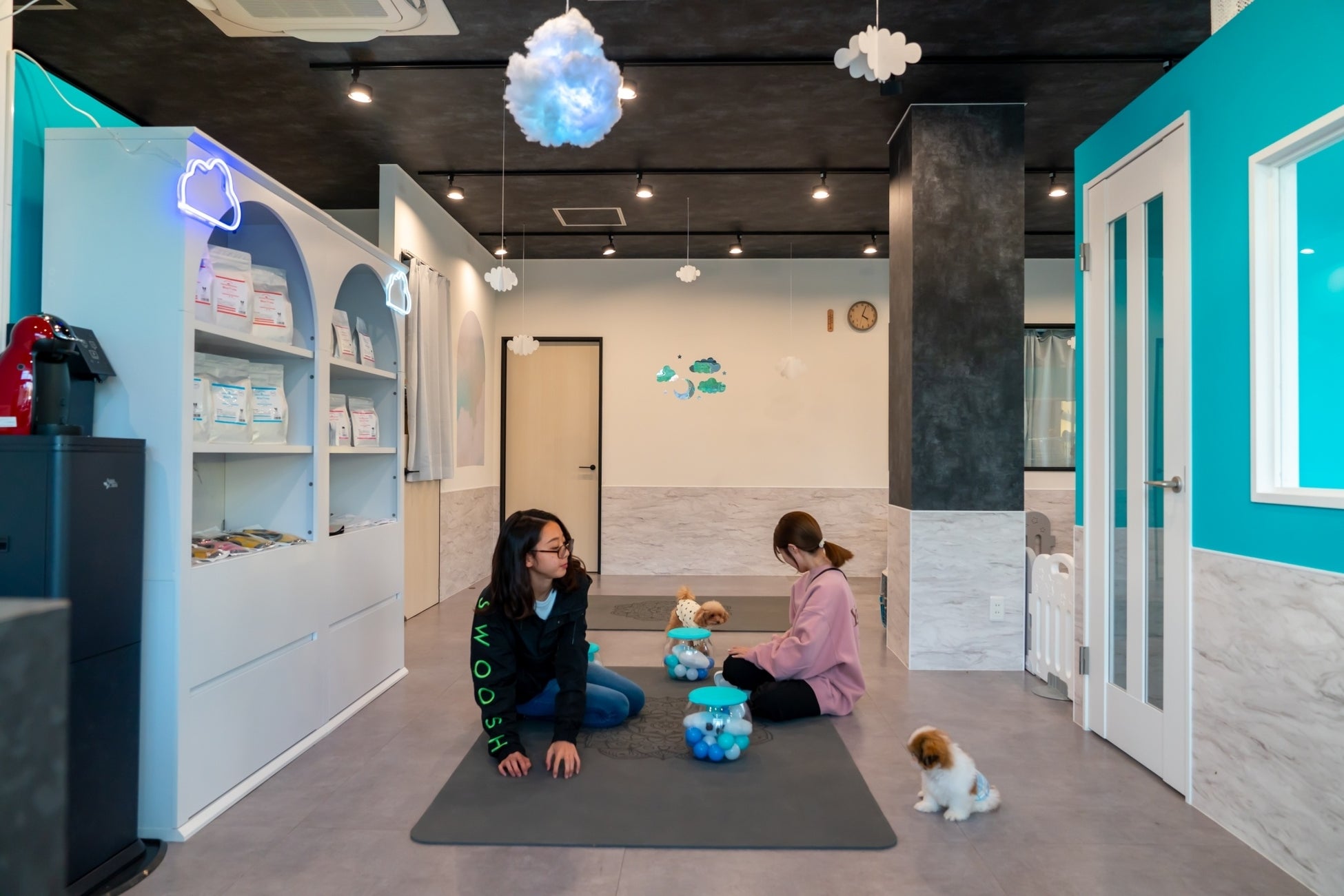 ハンデのある子にもふれあいの機会を。保護犬猫ふれあいカフェ『ANELLA CAFE佐倉店』11月18日（土）オープンのサブ画像2