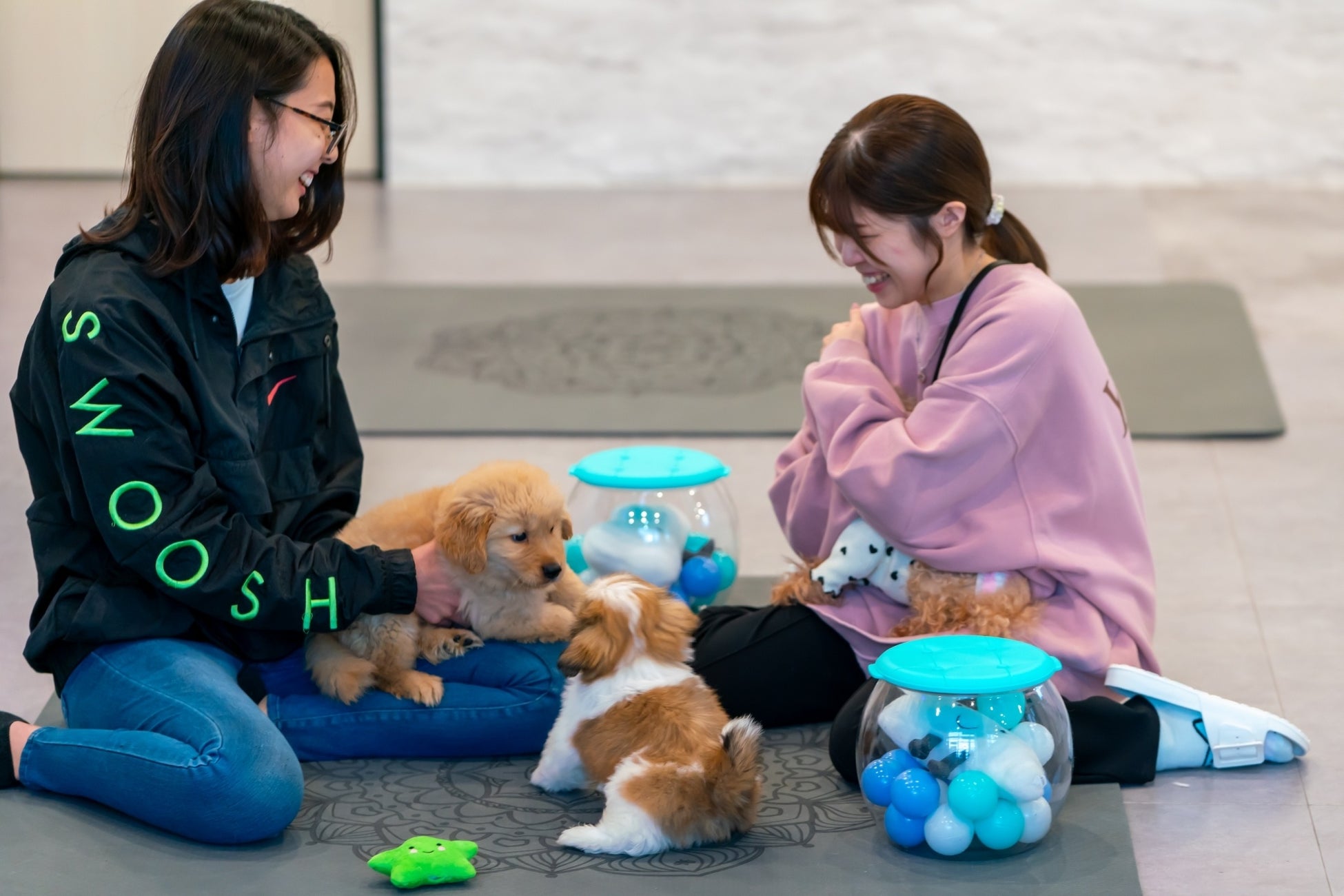 ハンデのある子にもふれあいの機会を。保護犬猫ふれあいカフェ『ANELLA CAFE佐倉店』11月18日（土）オープンのサブ画像4
