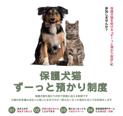 「保護犬猫ずーっと預かり制度」を2023年11月22日（水）わんわんにゃーにゃーの日より開始のサブ画像1