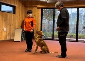 犬のじどうかん　POOCH PALにカルテック光触媒除菌脱臭機が設置されましたのサブ画像1