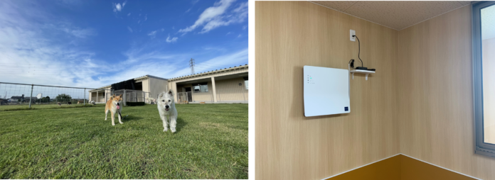 老犬・老猫のケア施設「あにまるケアハウス」にカルテックの光触媒除菌脱臭機が導入されましたのメイン画像