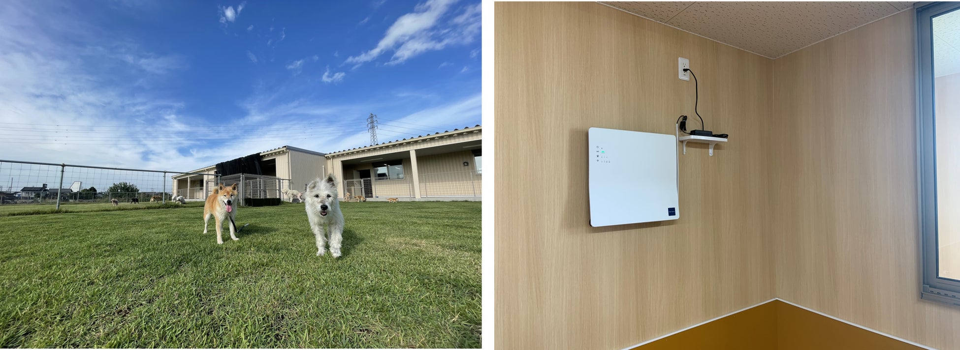 老犬・老猫のケア施設「あにまるケアハウス」にカルテックの光触媒除菌脱臭機が導入されましたのサブ画像1