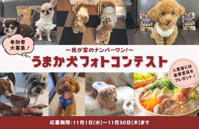 “博多華味鳥水たきセット”など豪華賞品をゲットしよう！「うまか犬フォトコンテスト」を11月1日からInstagramで開催！のメイン画像