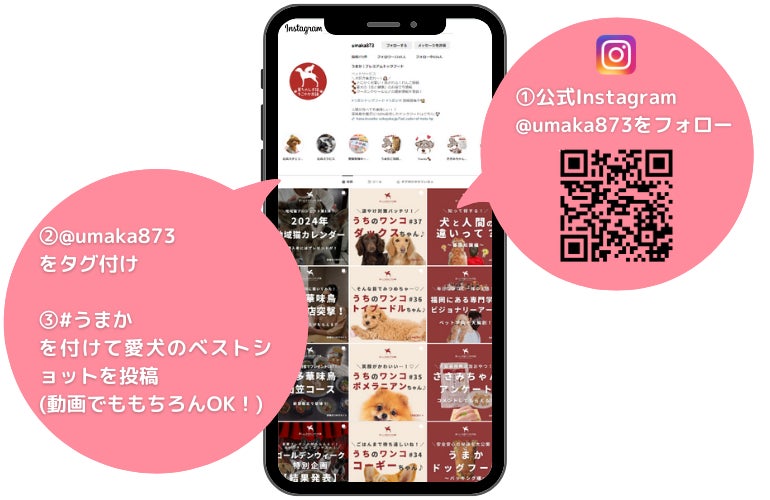 “博多華味鳥水たきセット”など豪華賞品をゲットしよう！「うまか犬フォトコンテスト」を11月1日からInstagramで開催！のサブ画像2