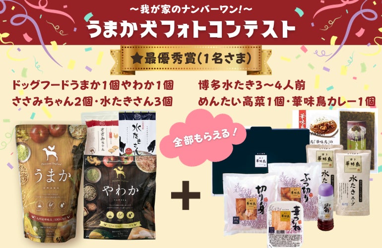 “博多華味鳥水たきセット”など豪華賞品をゲットしよう！「うまか犬フォトコンテスト」を11月1日からInstagramで開催！のサブ画像3