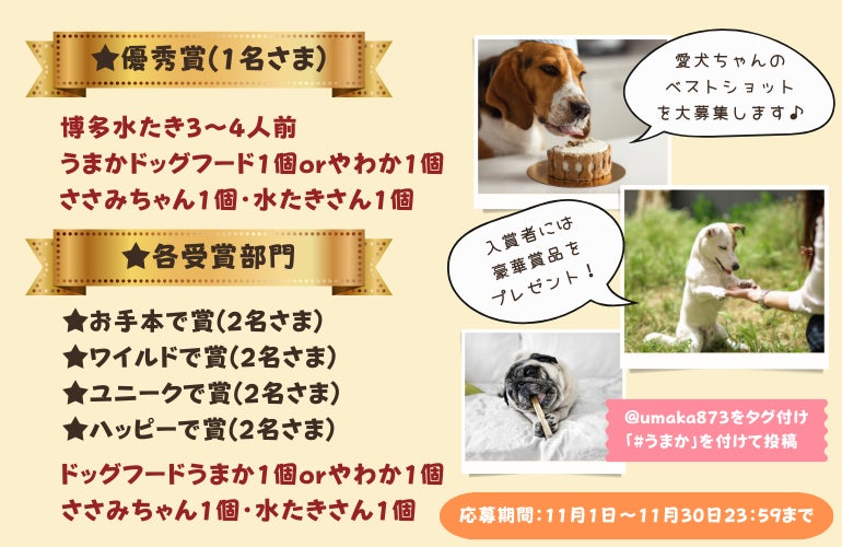 “博多華味鳥水たきセット”など豪華賞品をゲットしよう！「うまか犬フォトコンテスト」を11月1日からInstagramで開催！のサブ画像4