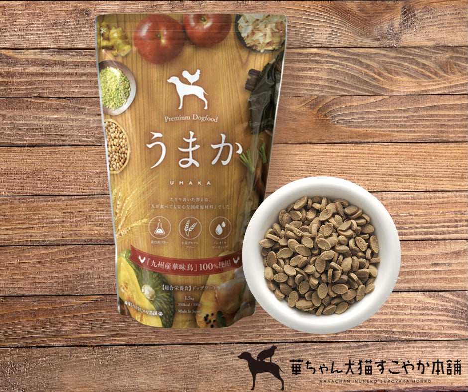 “博多華味鳥水たきセット”など豪華賞品をゲットしよう！「うまか犬フォトコンテスト」を11月1日からInstagramで開催！のサブ画像5