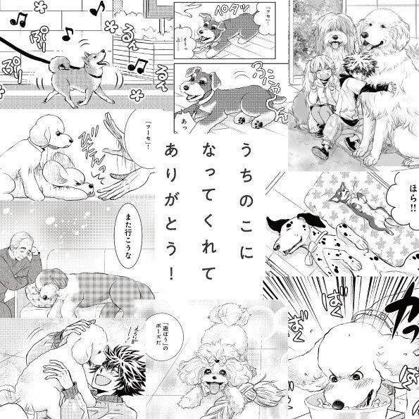 11月1日は犬の日！DOG SIGNAL×犬の日「うちのこ」との時間を大切にのサブ画像1