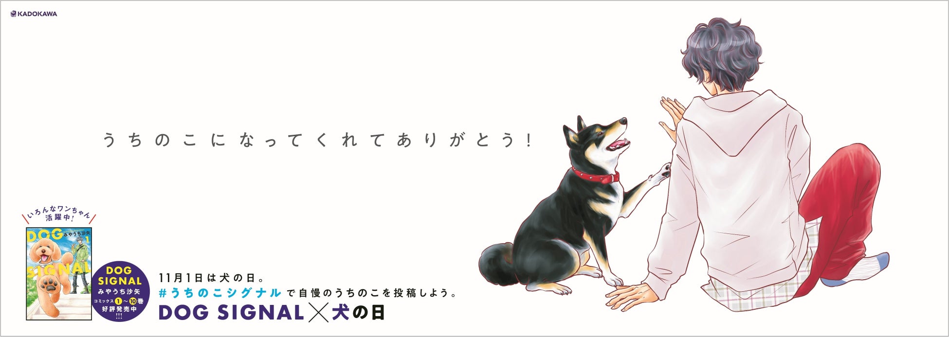 11月1日は犬の日！DOG SIGNAL×犬の日「うちのこ」との時間を大切にのサブ画像2