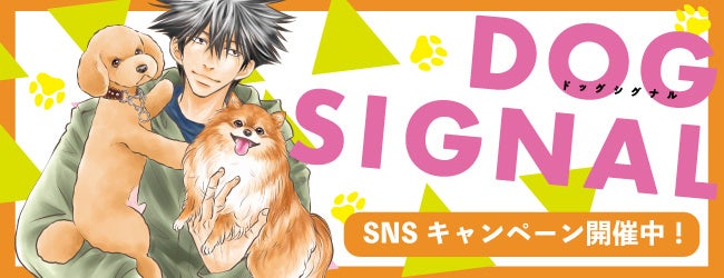 11月1日は犬の日！DOG SIGNAL×犬の日「うちのこ」との時間を大切にのサブ画像6