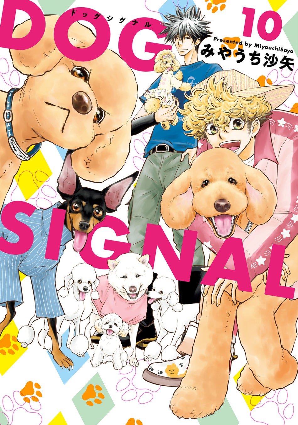 11月1日は犬の日！DOG SIGNAL×犬の日「うちのこ」との時間を大切にのサブ画像8