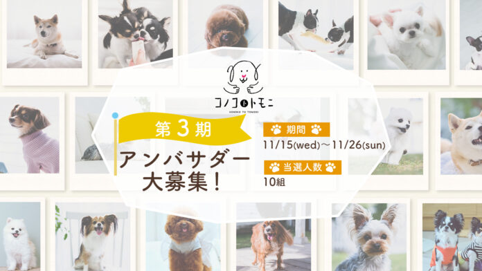 本日11月15日（水）からエントリー開始！「このこのごはん」を販売するペットフードブランド《コノコトトモニ》が第3期公式アンバサダーを大募集！【株式会社オモヤ】のメイン画像