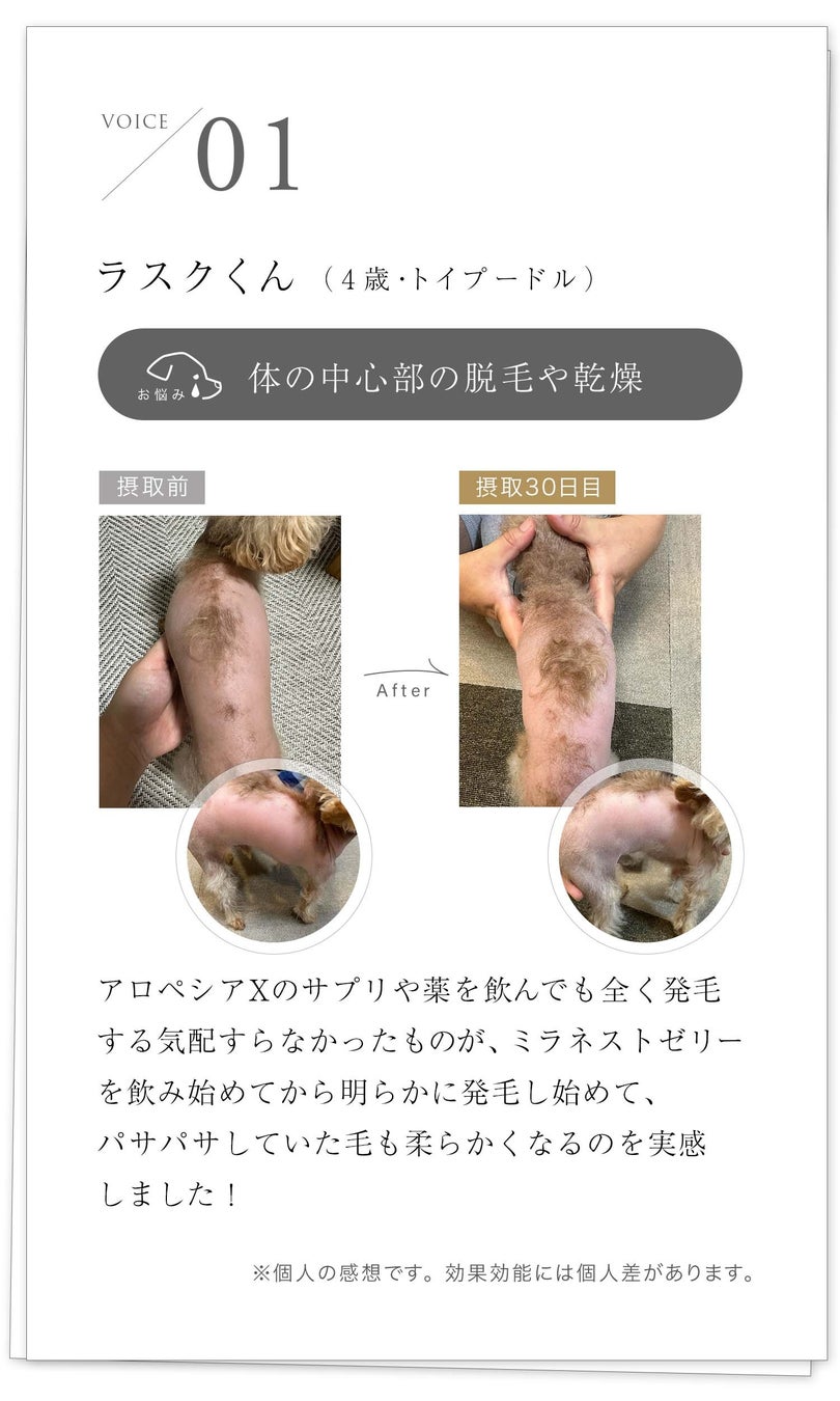 ツバメの巣のペットケアブランド「MIRANEST」がモニター募集開始！のサブ画像4