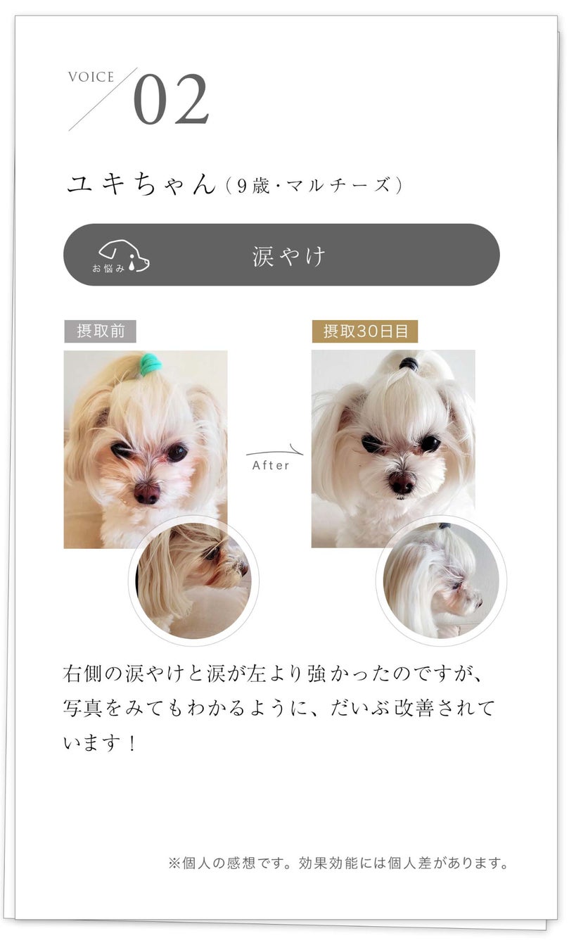 ツバメの巣のペットケアブランド「MIRANEST」がモニター募集開始！のサブ画像5