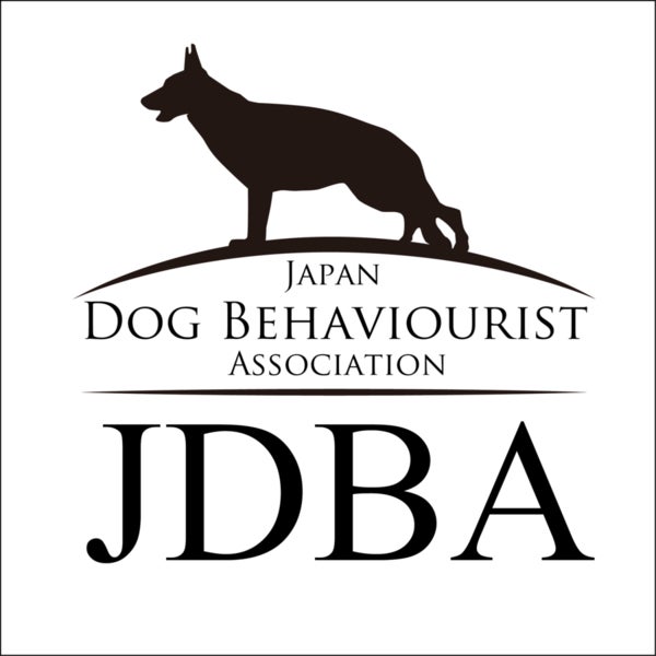 犬のしつけに新アプローチを！Nina Dog Toysは暴力的指導への抗議活動に協力すべく、犬と飼い主の絆を深める知育玩具の提供を開始のサブ画像1