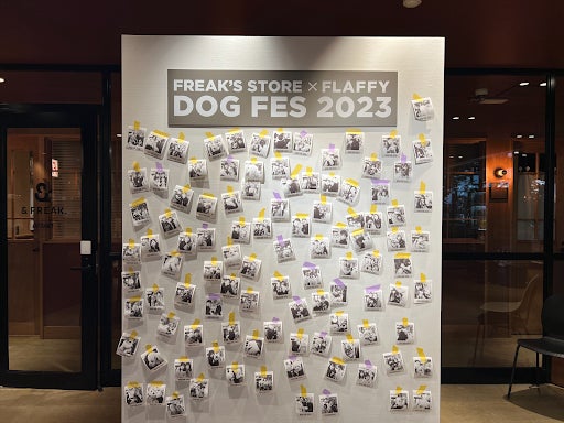 【イベントレポート】FLAFFY × FREAK’S STORE DOG FES 2023 in The Campを初開催のサブ画像5