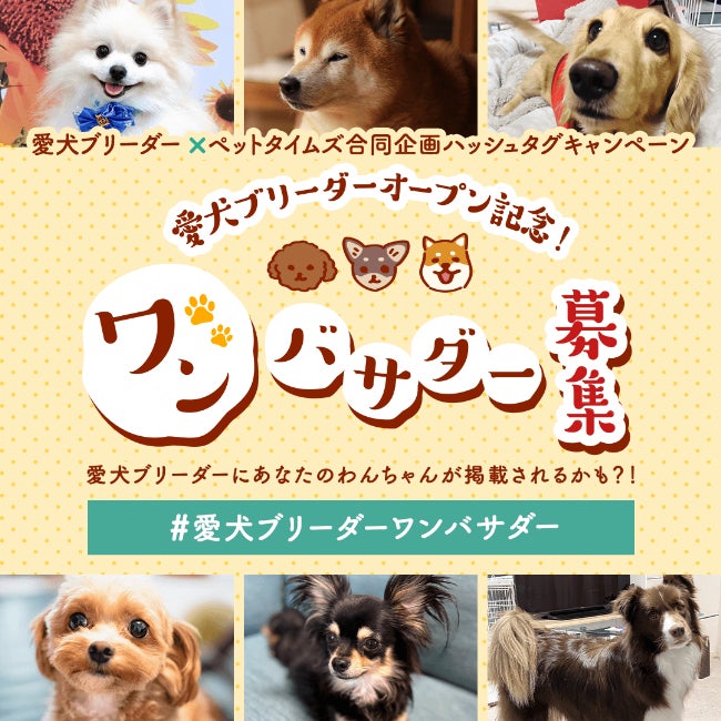 『愛犬ブリーダー』リリース記念！SNSを利用したフォトコンテストを11月10日(金)より開催。「#愛犬ブリーダーワンバサダー」写真投稿で毎月最大5名さまにオリジナルカードをプレゼント！のサブ画像1
