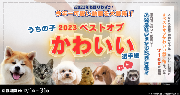 うちの子の動画が大型ビジョンで放映される今年最後のチャンス！「2023年うちの子ベストオブかわいい選手権」開催！のメイン画像
