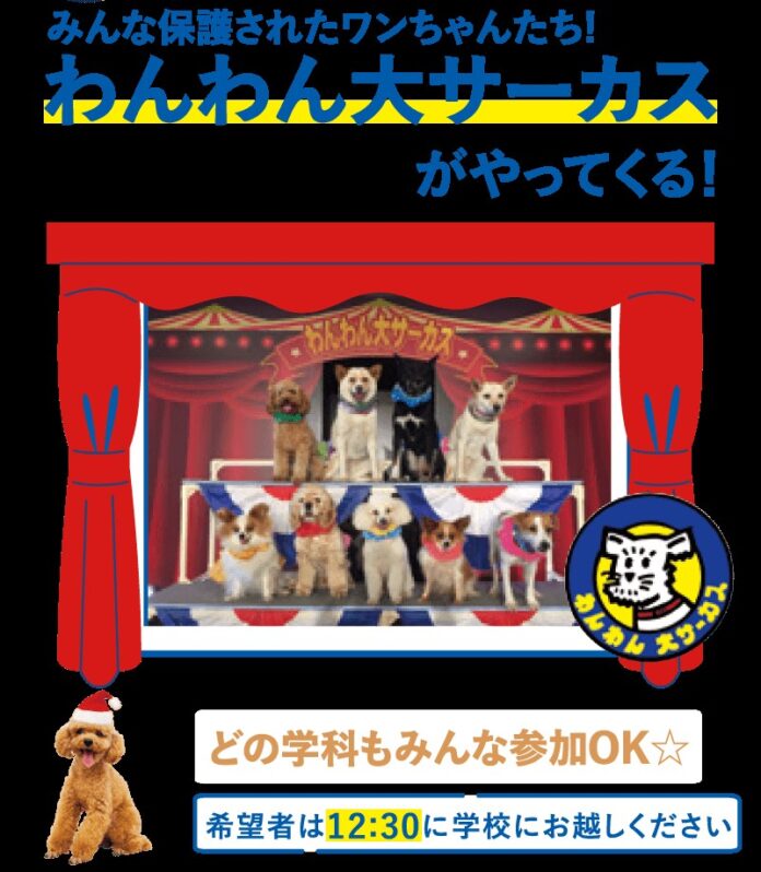 保護犬出身のワンちゃん達のサーカスショー！12月17日に開催【東京スクール・オブ・ビジネス】のメイン画像