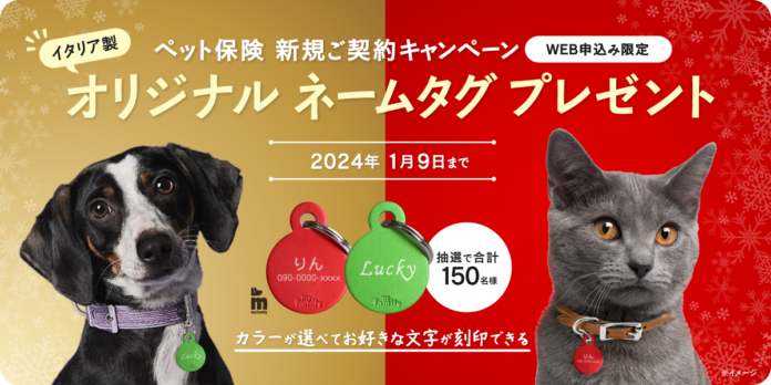 ペット＆ファミリー「げんきナンバーわんスリム」12月新規ご契約キャンペーンのお知らせのメイン画像