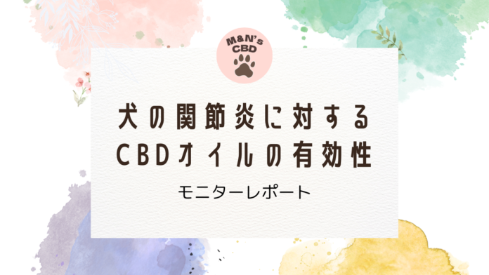 シニア犬の関節痛に対するCBDオイルは有効か？CBDモニター検証レポートのメイン画像