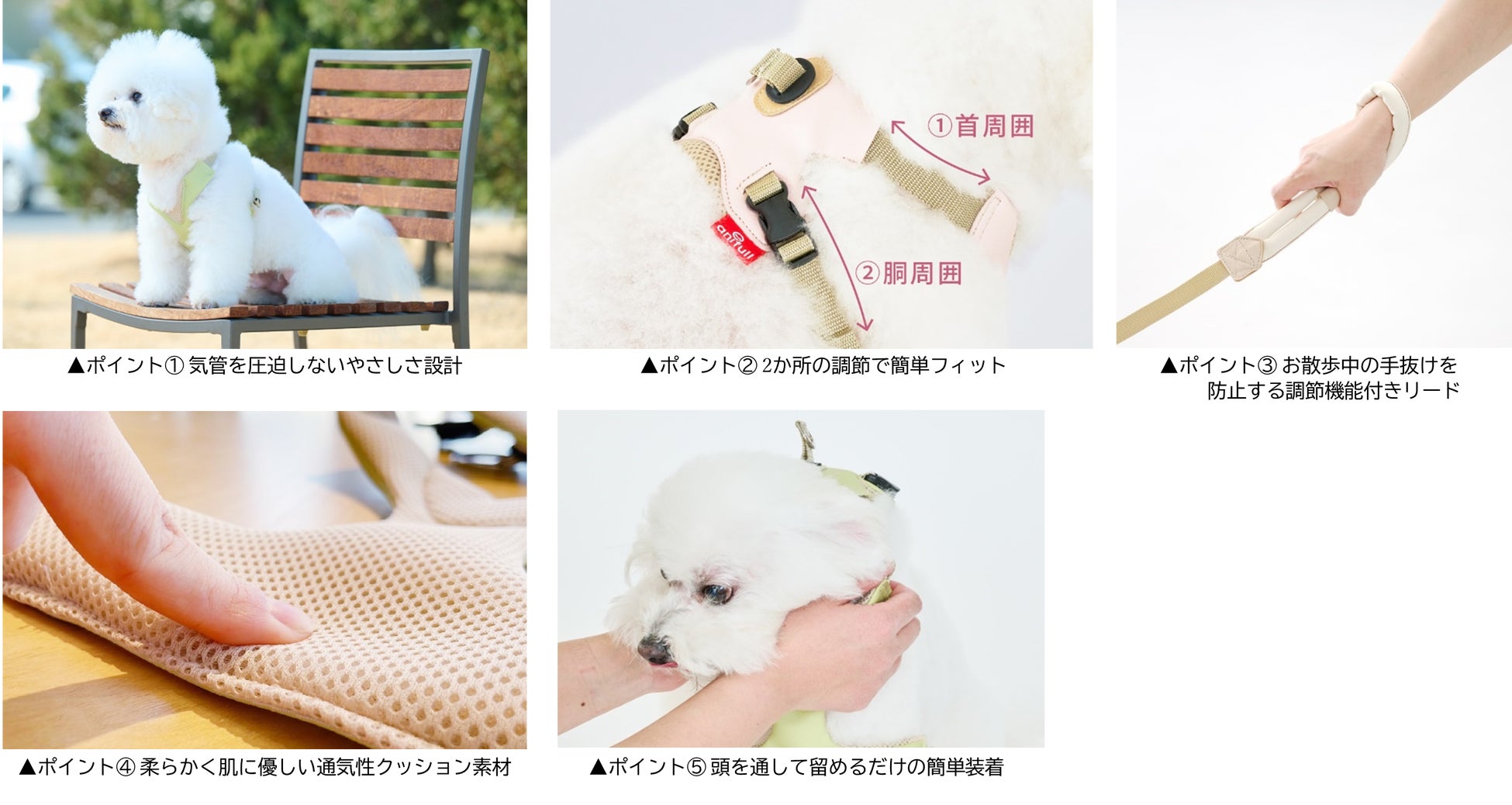 【期間限定】クリスマスキャンペーン実施！新製品の「アニサポ ハーレスト cocochi」を特別価格で販売！のサブ画像3